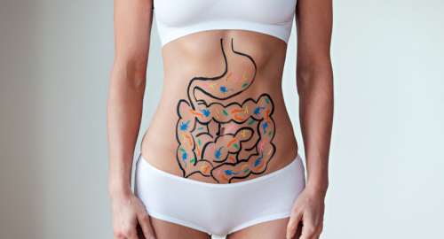 Fitocomposti Senolitici e il Loro Impatto sul Microbiota Intestinale